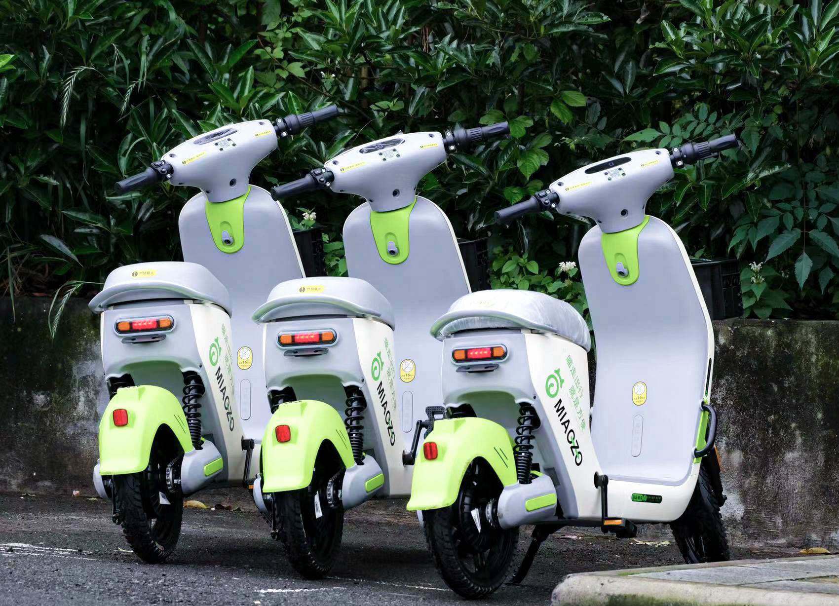 景區(qū)共享電動(dòng)車(chē)投放